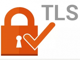 TLS là gì? Tại Sao Quan Trọng cho Bảo Mật Hệ Thống Giám Sát