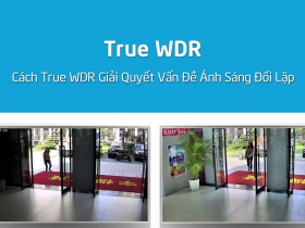 Tính Năng True WDR Trong Camera: Giải Quyết Vấn Đề Ánh Sáng Đối Lập